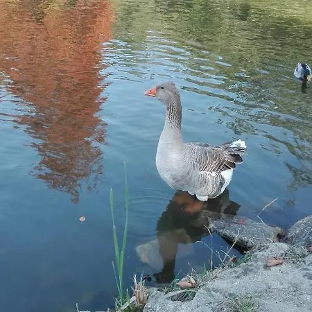 Our House Hotel Cortegaca (Aveiro)