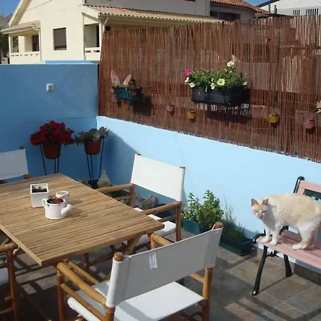 Our House 3* Cortegaca (Aveiro)